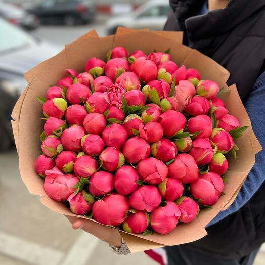 Пионы коралловые