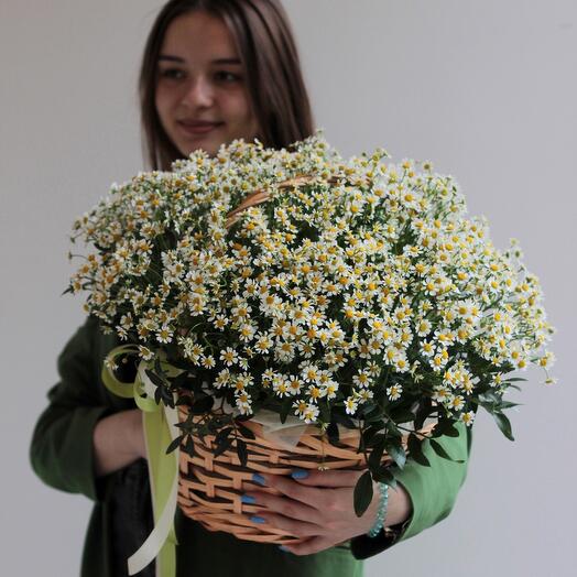 Букет полевых ромашек