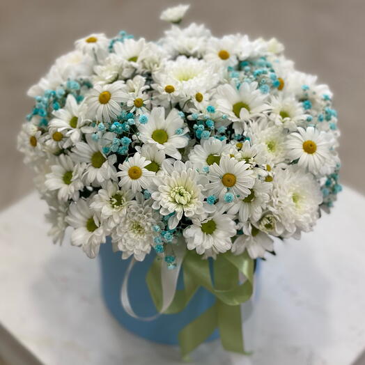 Ромашки в коробке