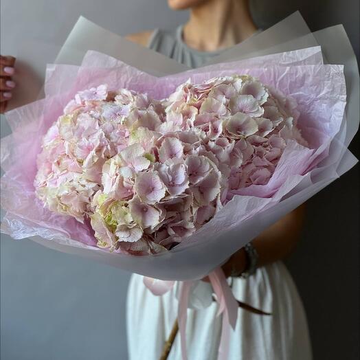 Моно с Гортензией 3🌸