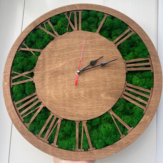Часы со мхом стабилизированный