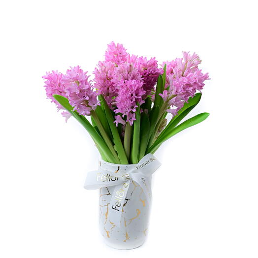 Hyacinth Oasis - Pink