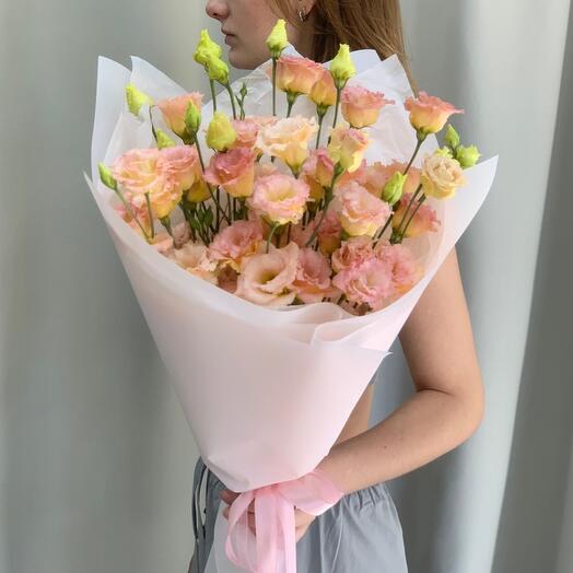 Eustoma Peach 9