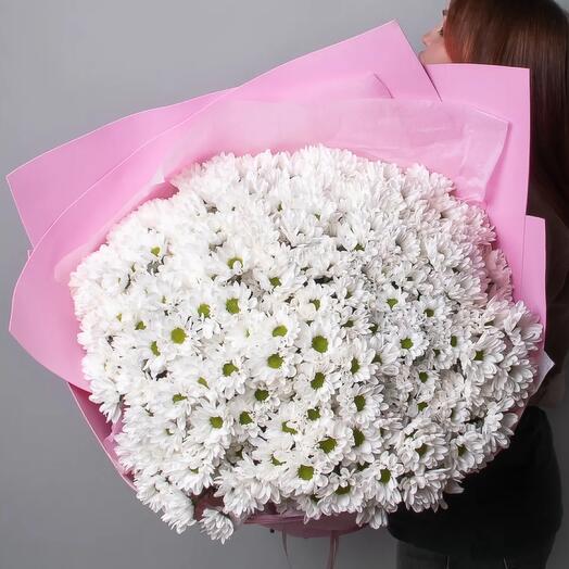 Букет из 35 белых кустовых хризантем