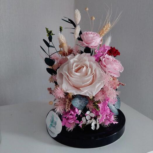 Клош стеклянный с сухоцветами