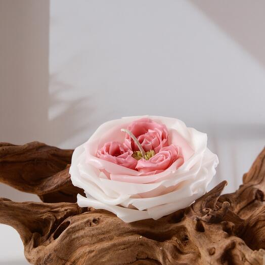 Свеча Роза английская