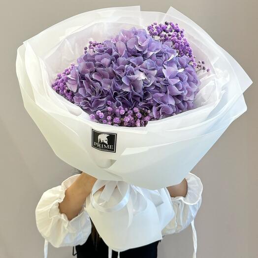 Gortenzia Blue-Violet