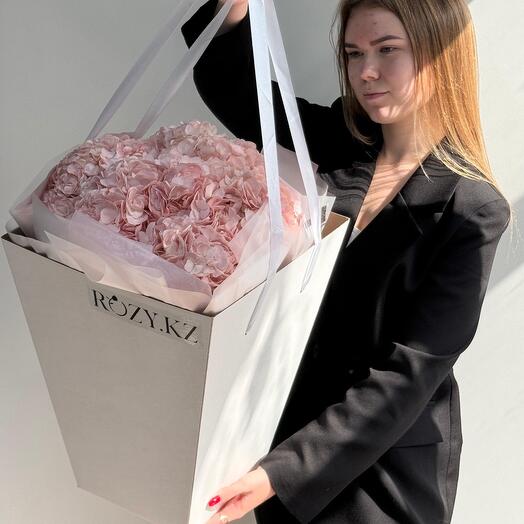 7 пышных гортензий в переноске