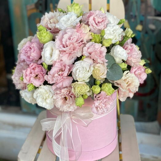 51 eustoma