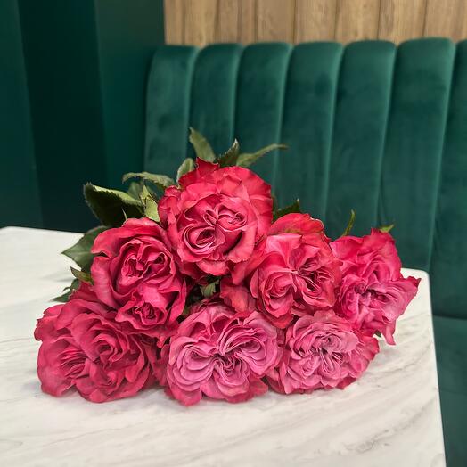 7 bright pink peony-shaped roses under the ribbon