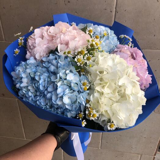 Букет гортензия микс