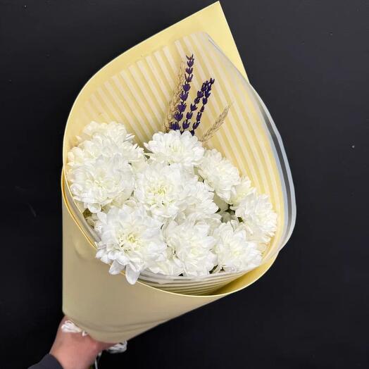 Chrysanthemum bush "Baltika" white 3 pcs