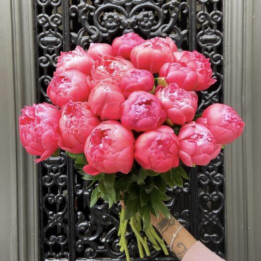 Bouquet of 19 coral peonies