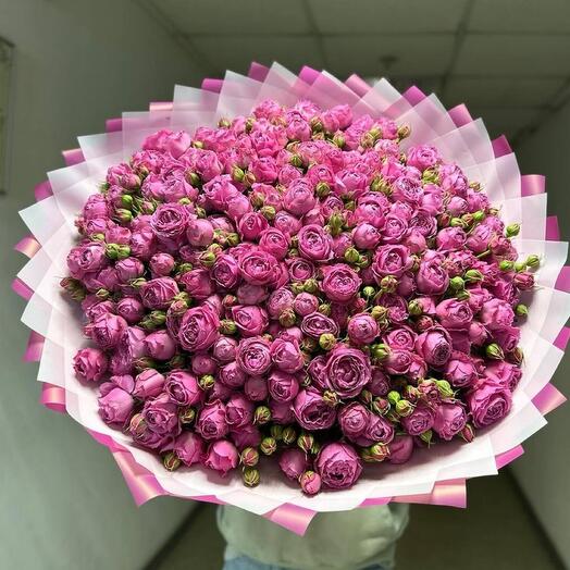 Пионовидная кустовая роза