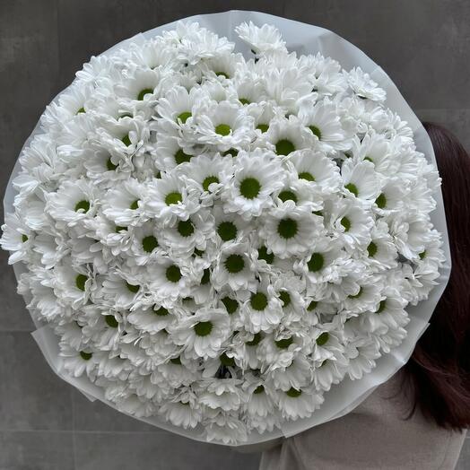 Букет из белых кустовых хризантем 51 шт