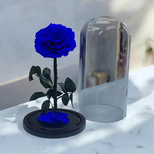 Forever rose blue 25cm