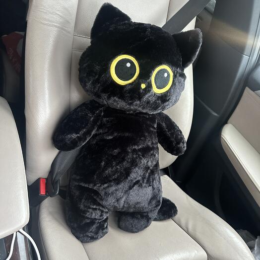 Котик черный