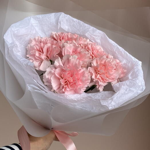 Monobuceta de Dianthus persistente