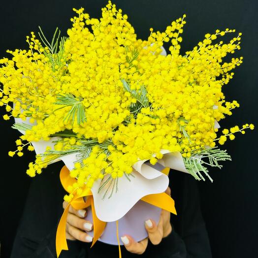 Мимоза в коробке