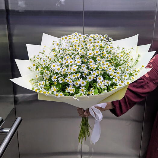 Daisy Bouquet