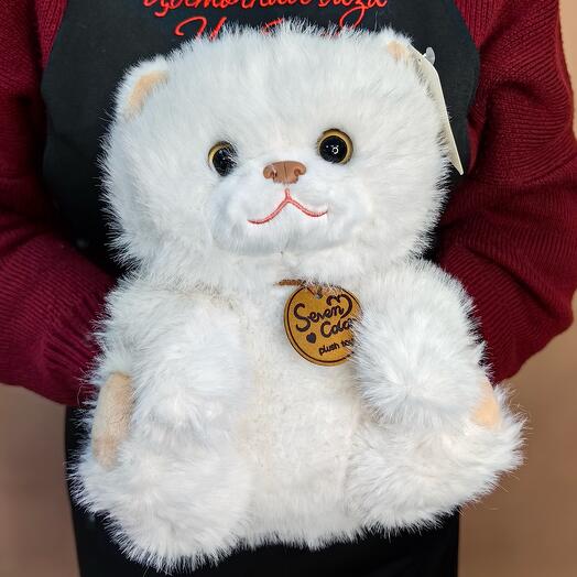 Белый кот