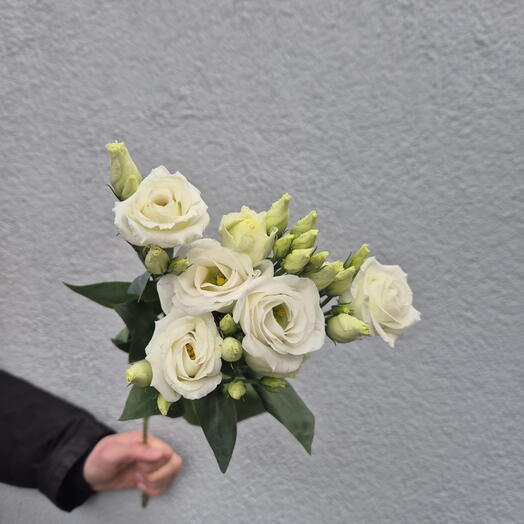 Fehér Lisianthus Válasszon 9 darabból