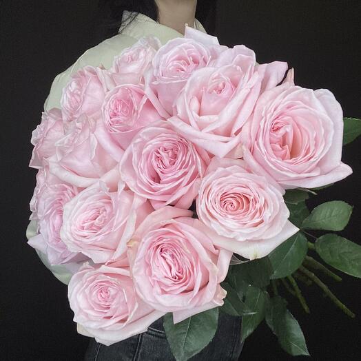 Pink Ohara Roses