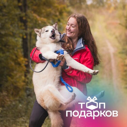Подарочный сертификат Индив. дог-трекинг и экскурсия в мини-зоопарк, 1 взрослый (2,5 часа)