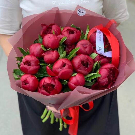 Пионы бордовые