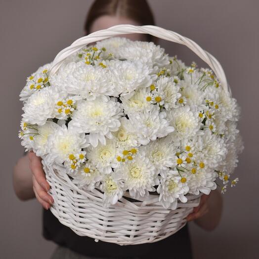 Корзина с белой хризантемой