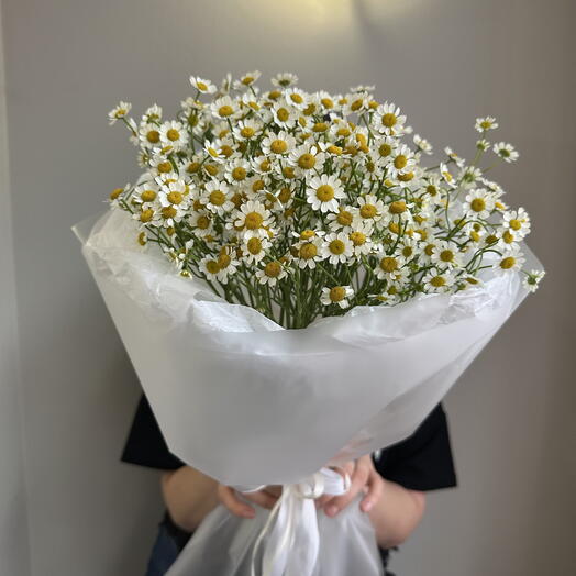 Букет ромашек (матрикария)