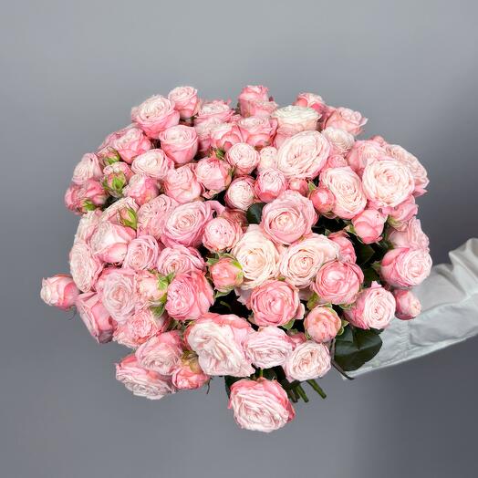 31 розовых кустовых пионовидных роз 40 см