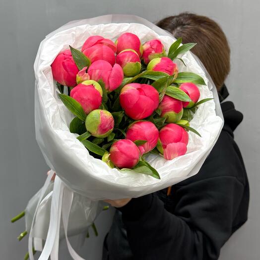 Пионы коралловые (м)