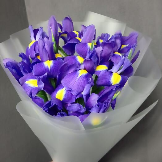 11 синих ирисов