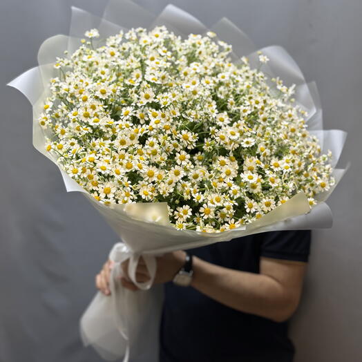 Ромашки💞