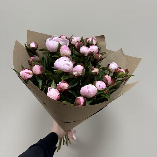 25 пионов гардения Голландия