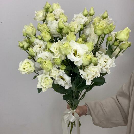 Моно букет из белой эустомы