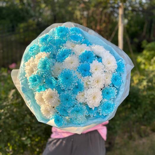 Букет из белой и голубой кустовой хризантемы