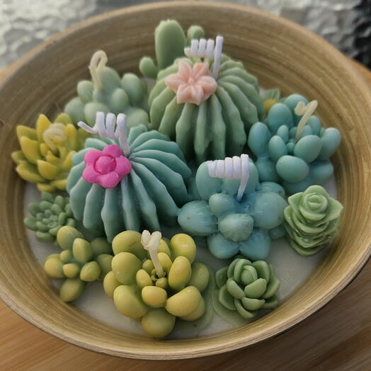 Velas de cacto e de campo