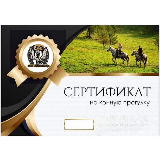Конная прогулка 1 час Электронный сертификат