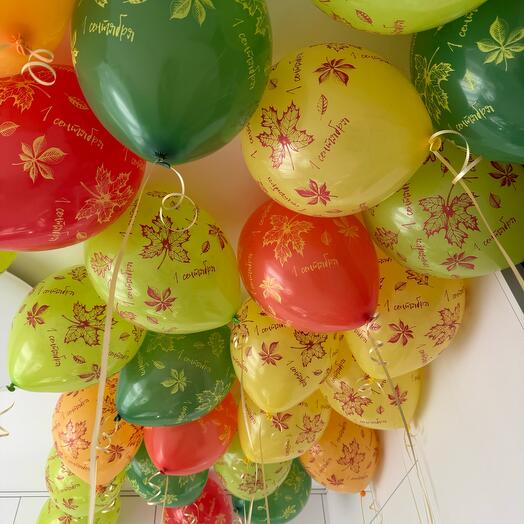 Шары на 1 сентября с листьями  15 шт