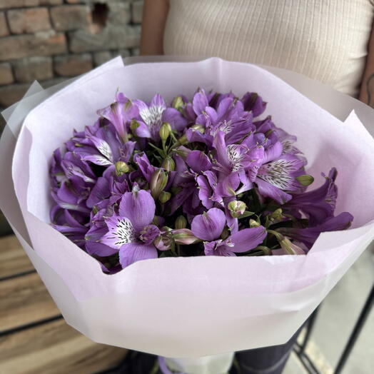 Lilac dream|Gentle Spirit