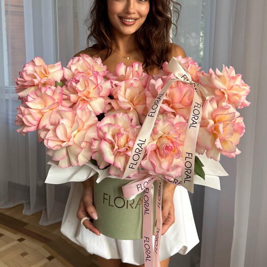 Коробка ESPERANCE 2.0