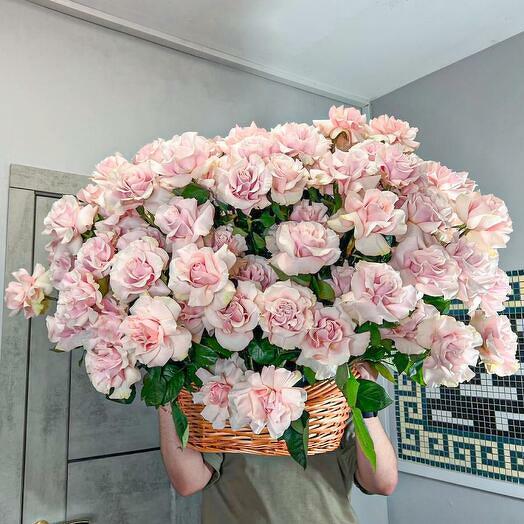 101 французская роза