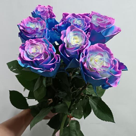 Роза Charming Star Эквадор 70 см - 7 шт