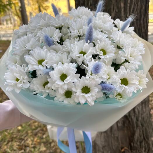 Хризантема и ларгус