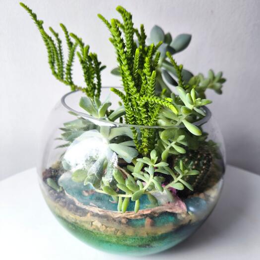 Флорариум подарок маме, сестре, подруги, коллеги, бабушке, девушке