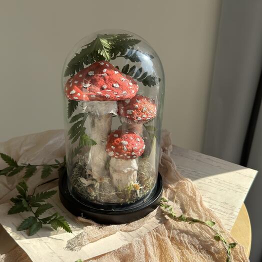 Капсула с мухоморами