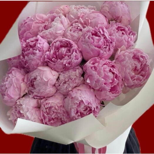 Dutch peoniess