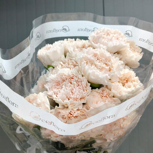 Пачка (25 шт.) Гвоздика одноголовая Брют 70 см Арт. Fc03147c